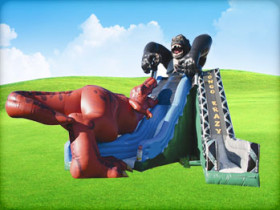 Dual Lane Kongo Crazy Inflatable Slide