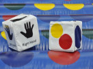 Roll the Dice Twister