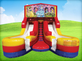 16ft Disney Princess (Wet/Dry) Double Slide