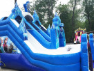 Frozen Party Rentals