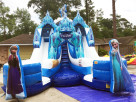 Frozen Double Waterslide