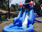 Front 2 fish Inflatable Slide