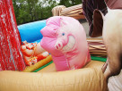 toddler pig bouncer