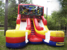 Ninja Turtles Water Slides in Houston