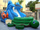 Beach Water Slide