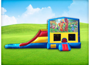 Winnie the Pooh 3in1 Obstacle w/ Wet or Dry Slide