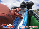 Kongo Crazy T-Rex Slide