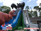 Houston T-Rex Slide