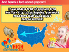 Popcorn Infographics