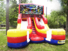 Ninja Turtle Double Lane Wet Dry Slide