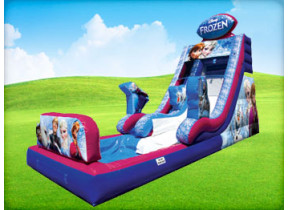 Frozen Slide with Pool (Dry/Wet)