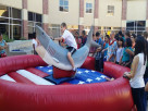 Shark Ride Rental Houston