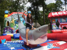Mechanical Shark For Rent