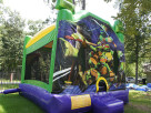 Ninja Turtles Jumper
