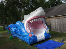 Shark Week Entertainment Rental