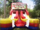 Front View Strawberry Shortcake Slide in Houston